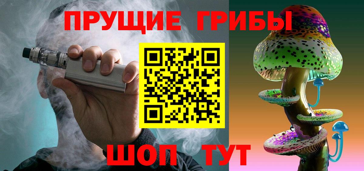 Галлюциногенные грибы прущие грибы  Вход с VPN  Протвино 